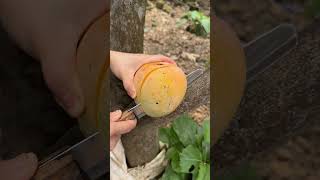 People Can’t Stop Watching This Slice