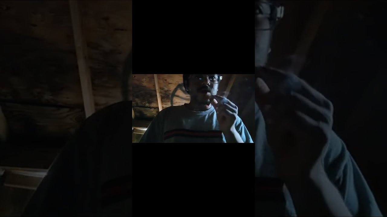 STRAIN REVIEW!!!! Gorilla Dosha!!!!