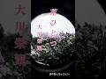 ♪︎花ひとつ #昭和歌謡# 大川栄策