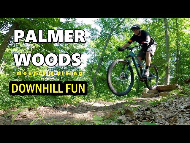 Palmer Woods Mountain Bike Trail - Some of the BEST Downhills in Lower  Michigan - YouTube
