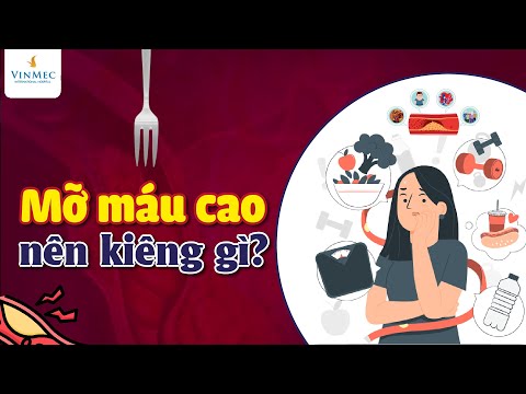 Video: Cholesterol cao ảnh hưởng đến chó như thế nào?