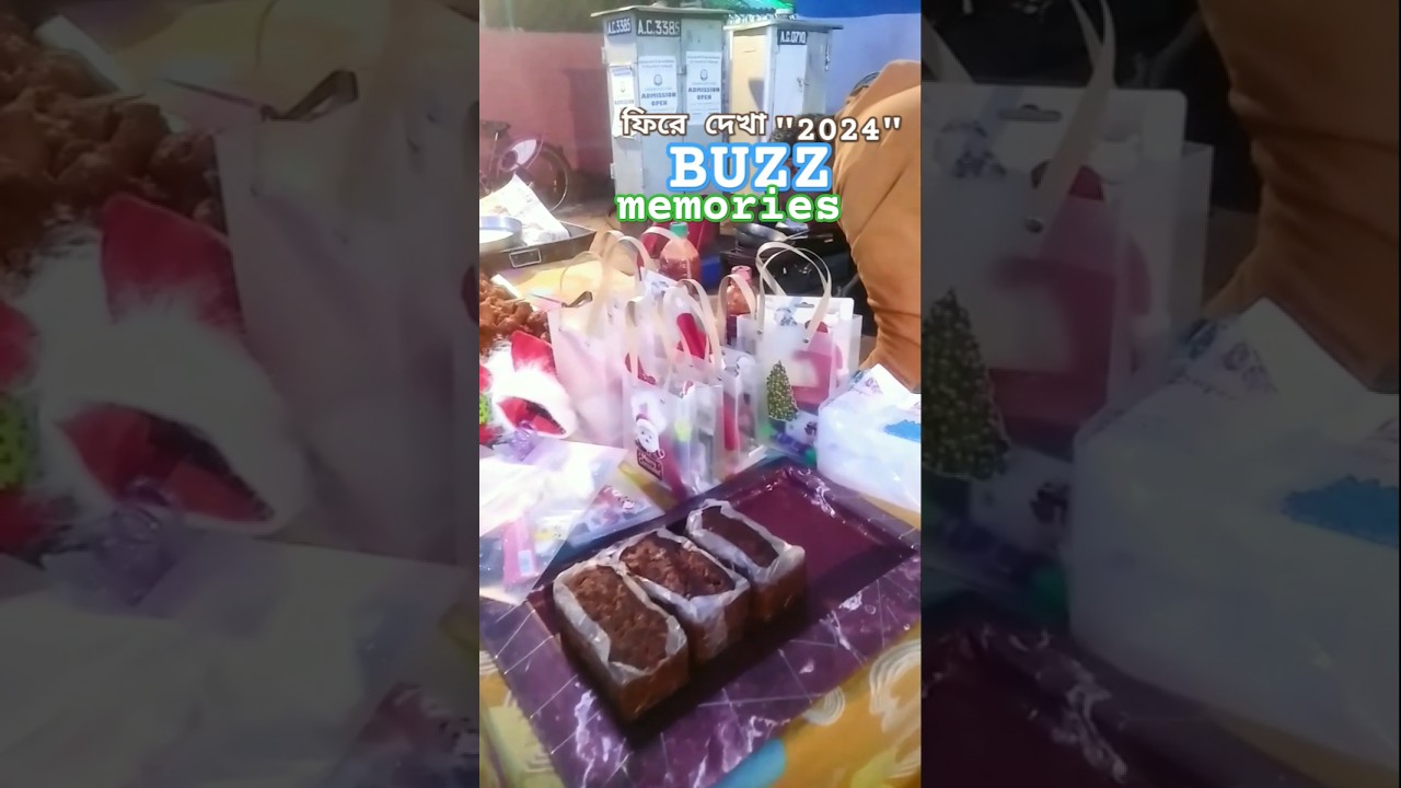 BUZZ | ফিরে দেখা 2024 | 