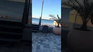 IMG 4519