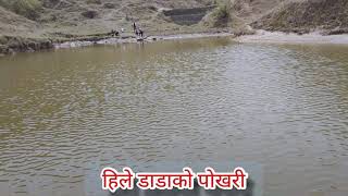 हिले डाडा Panchthar Hele dada 2078 New Year || Heele Dada Touring New Year 2078