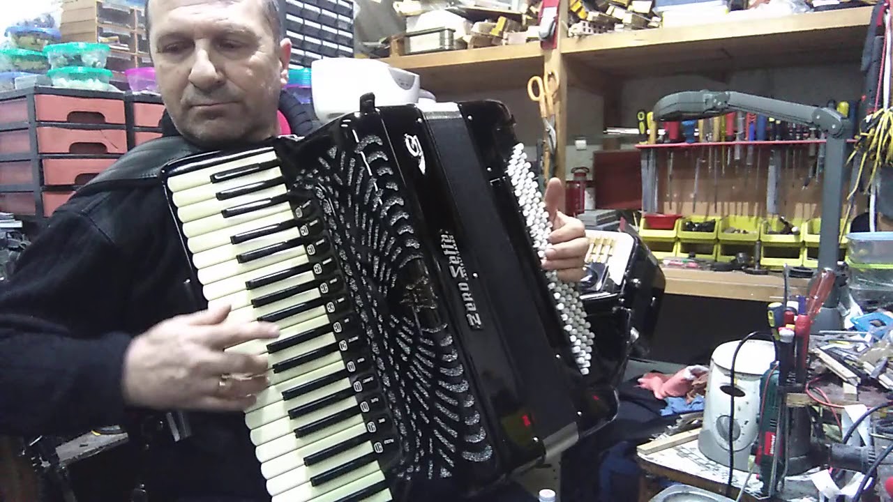 Servis harmonika Dane 064-420-5721