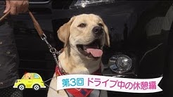 まさはる君が行く ポチたまペット大集合 Youtube まさはる君が行く ポチたまペット大集合 Youtube