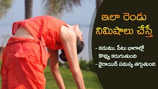 Exercises to Burn Waist Fat | Reduce Thyroid Problem | Slim Waist | Yoga with Dr.Tejaswini Manogna