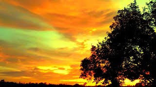 Golden sky background ,sky background video 4k ,green screen golden effects,golden particles