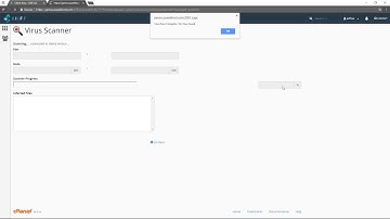 How To Scan Your Website For Viruses