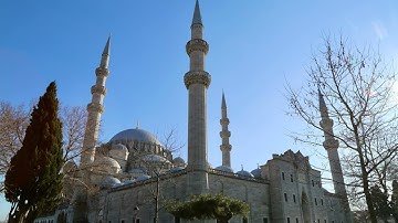 مطرف المطرف _ مقطع من صلاة التراويح ليلة ٢٥-٩-١٤٤٦ من سورة الشورى