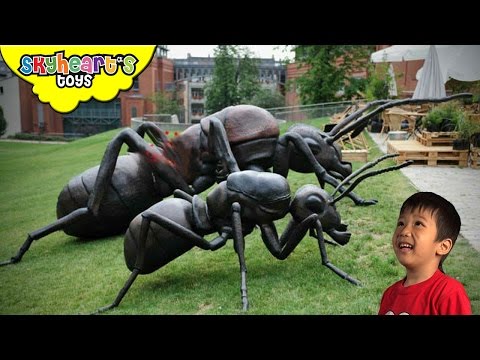 giant ant toy