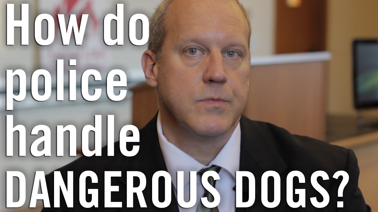 law of supply and demand How Do Police Handle Encounters with Dogs?
