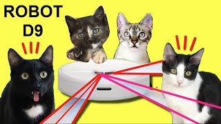Gatos Luna y Estrella reaccionando al Robot Aspirador Dreame D9 de Xiaomi / Videos de gatitos