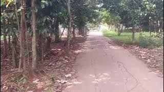 Afternoon in the countryside