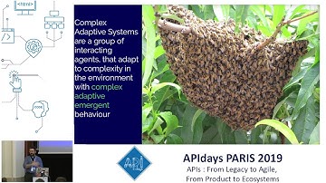 A Role for Developer Portals in Digital Transformation, Kristof Van Tomme, CEO @ Pronovix