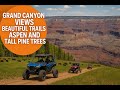 🌲 North Rim UTV Fun Run! | Epic SXS Ride Through Pine & Aspen Forests + Grand Canyon Views! 🚙🔥