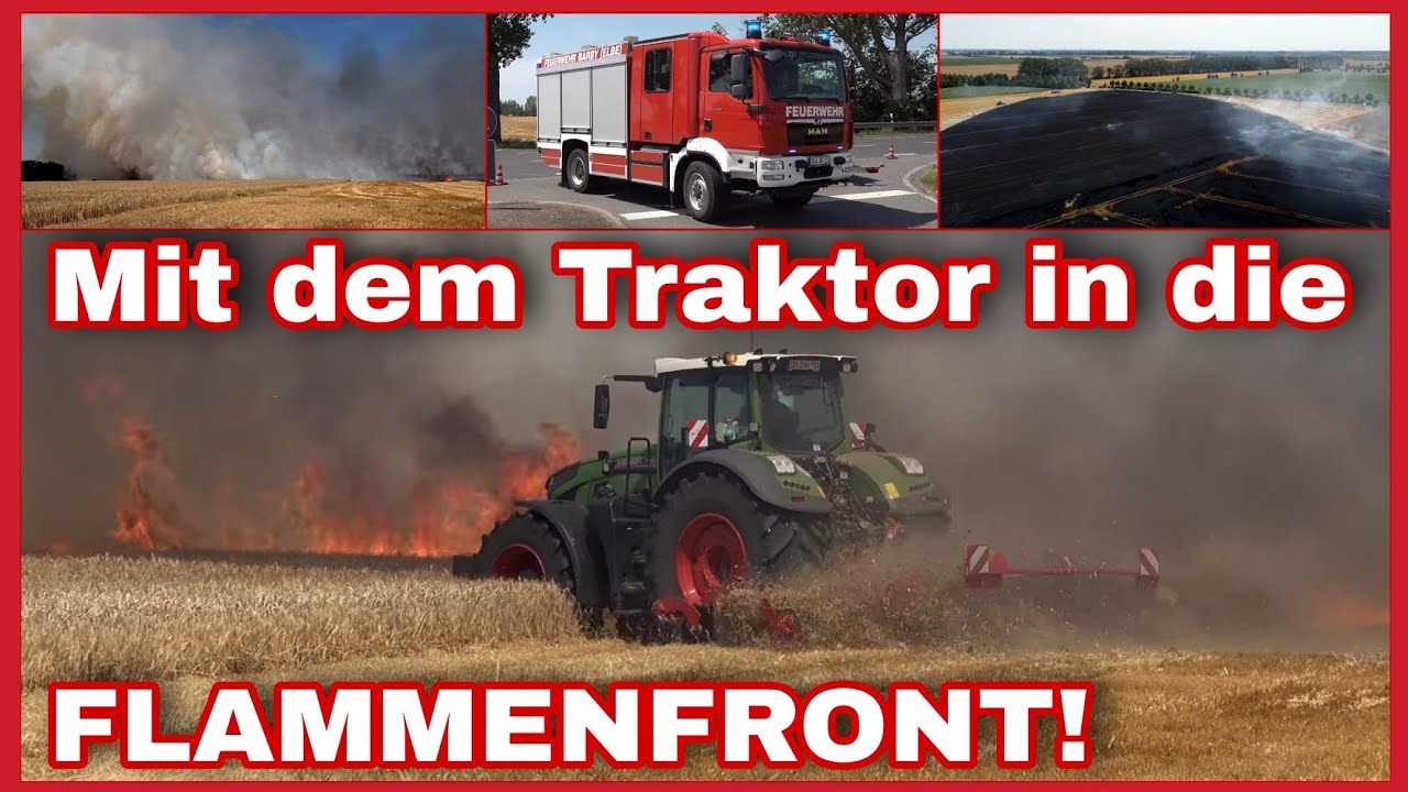 🔥Großer FELDBRAND wütet bei Barby (Elbe)❗️Einsatzkräfte kämpfen gegen die FLAMMEN🔥