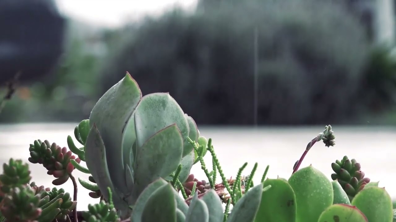 Epic of Rain Drop sound effect adlı videoyu YouTube'da izle Epic of Rain Drop sound effect adlı videoyu YouTube'da izle