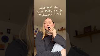 Pilze sind keine Pflanzen, wusstest du das? 🍄🟫🌿 #pilze #pilzwissen #wald #natur #pilzesammeln