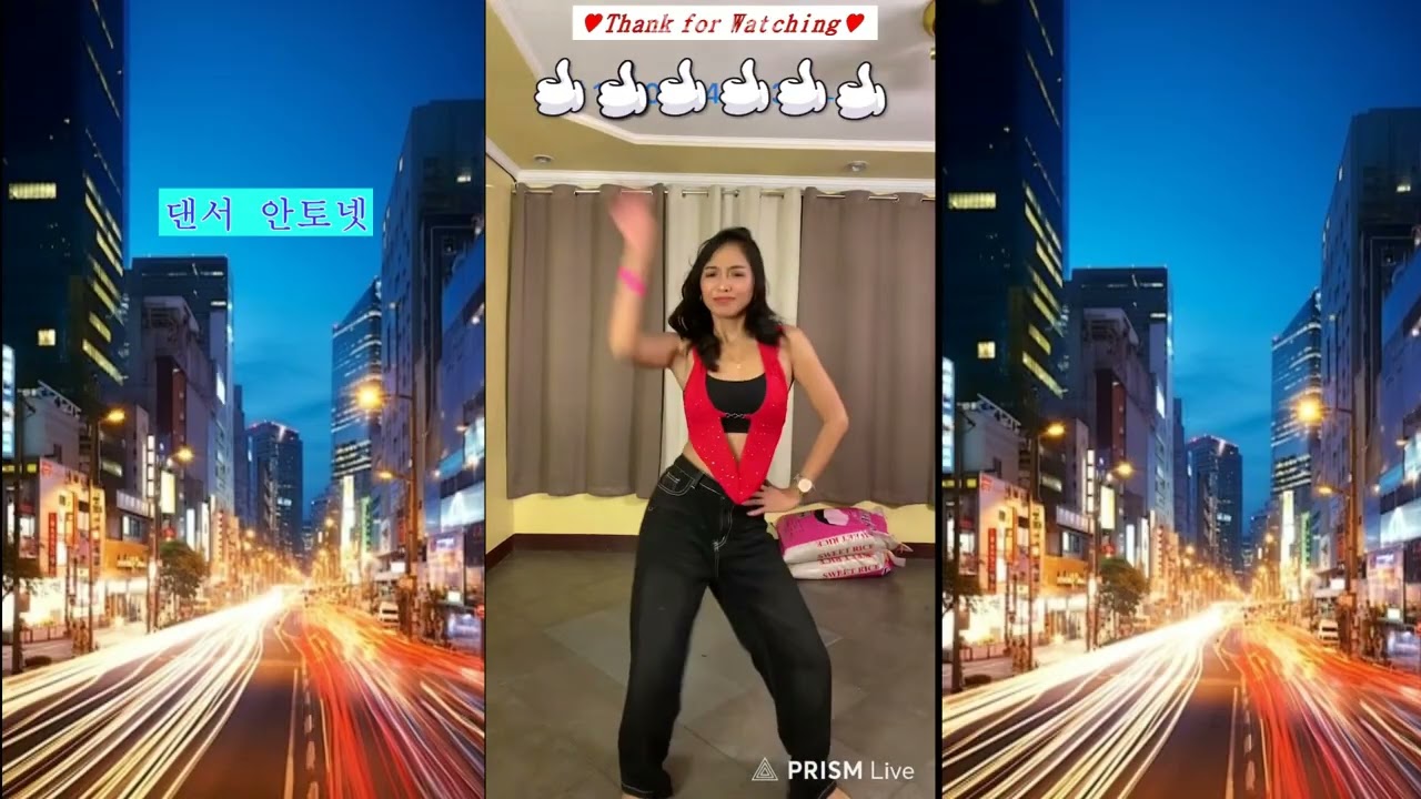 안토 댄스2511190