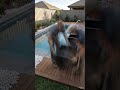 Swimming Pool Construction Video #viral #youtube #shorts #ytshorts #instagram #Reels #trending