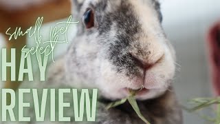 Small Pet Select Hay Review