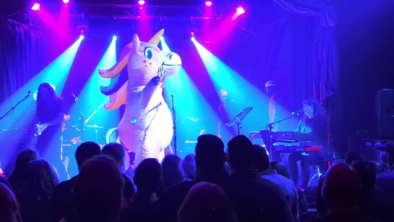 "Say You Love Me"(Fleetwood Mac cover) Jenny Conlee-Drizos and the Jackmormons 12/31/22 Star Theater