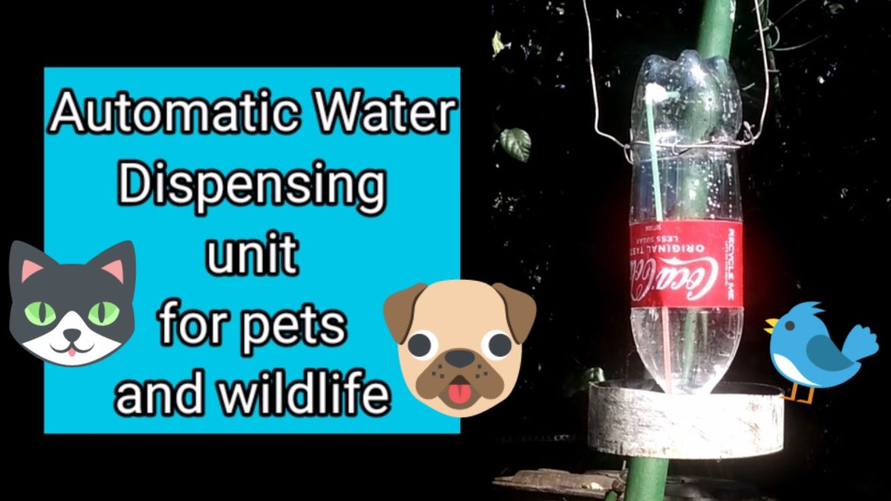 Automatic Water Dispenser for pets Tutorial YouTube