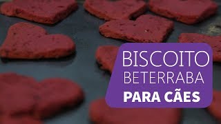 biscoito de beterraba para cachorro