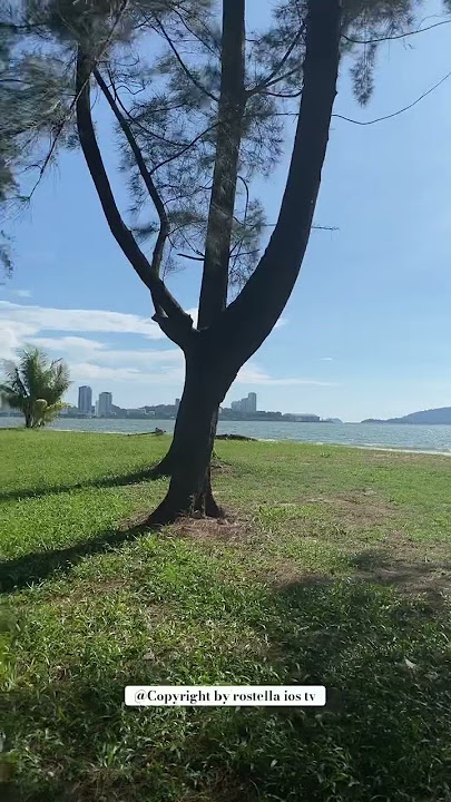 Teluk yang hampir tenggelam
