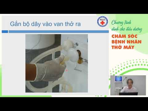 Video: Cách Cài đặt Trình đào Tạo