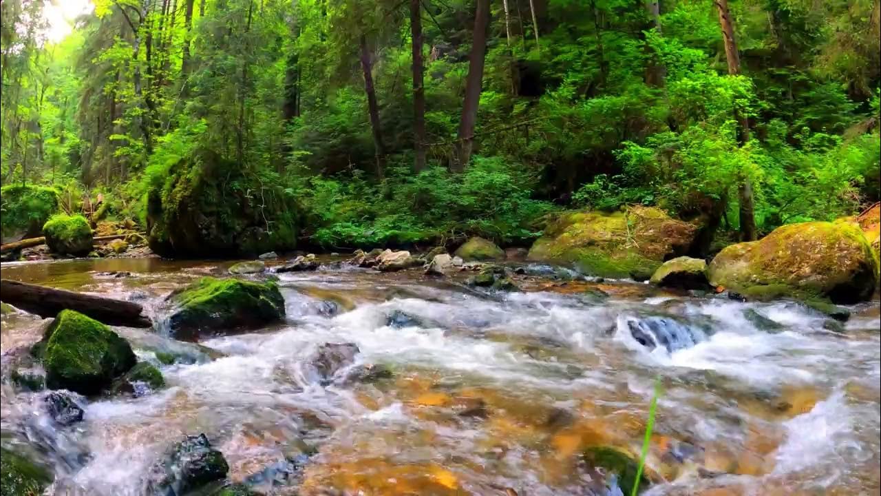 Видео со звуками природы. Две реки. Расслабляющие видео природа. Красивые видео природы с музыкой. Relax background.