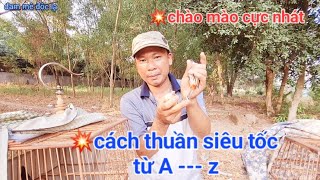 Các Thuần Chớp Mào Bổi Siêu Tốc Từ A -- Z Không Tật Lỗi | đam mê độc lạ