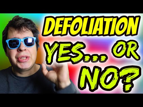 Video: Čo je to defoliácia: Zistite viac o defoliácii rastlín a ako ju liečiť