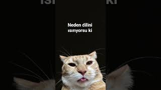 bende denedim acımıyor#shorts