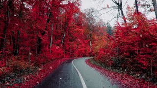 Deep Sleep Right Away With Heavy Rain