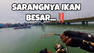 FISHING IN MANGGAR, THE FISH ARE HUGE