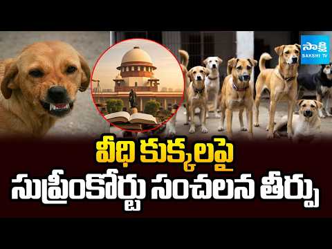 వీధి కుక్కలను వదలొద్దు..| Vaccinate And Release Stray Dogs Orders Supreme Court | Sakshi Tv - SAKSHITV