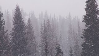 EXPLORING VAIL RESORT