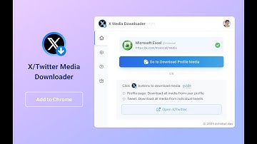 How to bulk download images and videos from X/Twitter? (X Media Downloader)