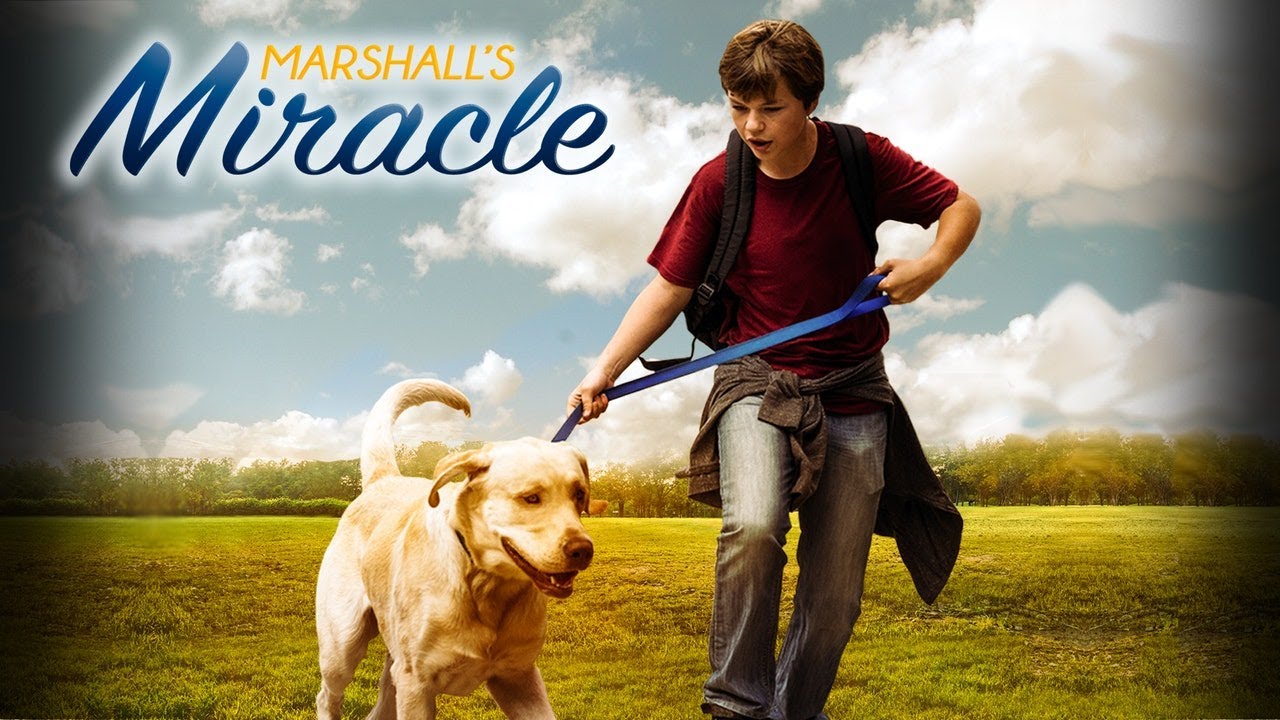 Marshall - The Miracle Dog | English | Feature Film