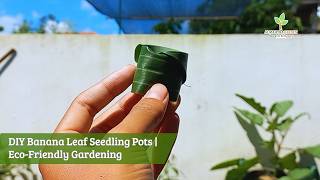 DIY Banana Leaf Seedling Pots | Eco-Friendly Gardening
