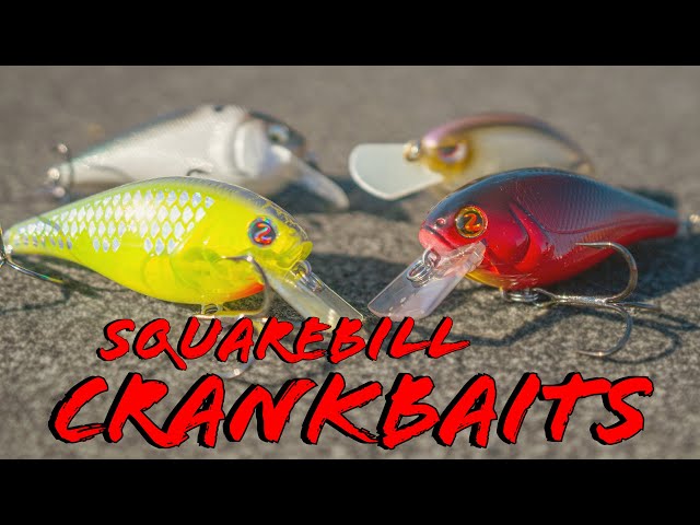 Squarebill Crankbait Tricks For Spring Bass Fishing 