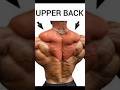 Best 3 upper back exercise #back #gym #motivation #shorts