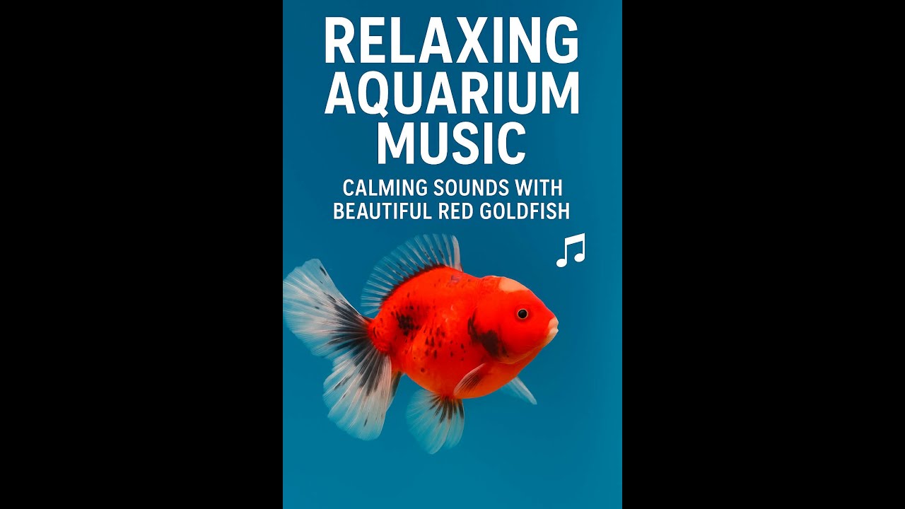 Relaxing Aquarium Music — Calming Sounds with Beautiful Red Goldfish 🐠✨