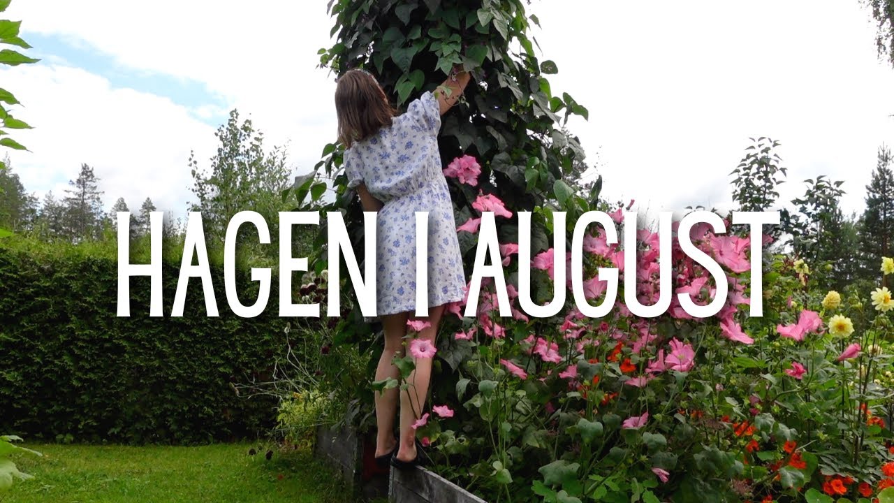 Hagen i august | 2023