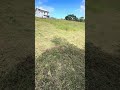Transformando o sítio iniciado do Zero. #vidanaroça #vidanositio #dacidadeprocampo #agro #gado