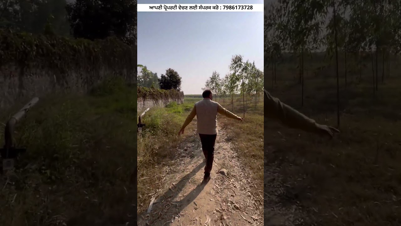 ⁣ਮੇਨ ਰੋੜ ਤੇ, 5 ਕਿੱਲੇ ਵਿਕਾਉ ਟਾਂਡਾ🤩 land for sale in Punjabvideo: 253