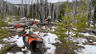 CITRA Volunteer Trail Project-Part 3