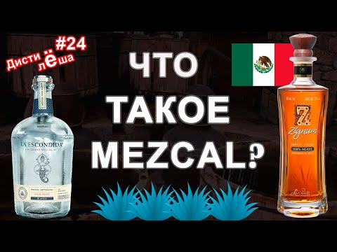 Video: Hva Er Forskjellen Mellom Mezcal Og Tequila